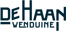 logo website